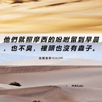 Picture 06 - 出 埃 及 記 16:24 CUVT - 他 們 就 照 摩 西 的 吩 咐 留 到 早 - Bible Verse Picture
