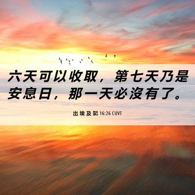 Picture 06 - 出 埃 及 記 16:26 CUVT - 六 天 可 以 收 取 ， 第 七 天 乃 是 - Bible Verse Picture