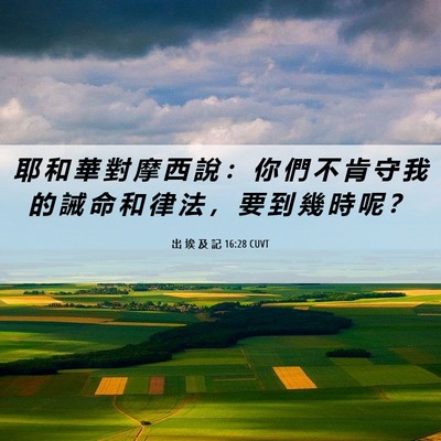 Picture 06 - 出 埃 及 記 16:28 CUVT - 耶 和 華 對 摩 西 說 ： 你 們 不 肯 - Bible Verse Picture