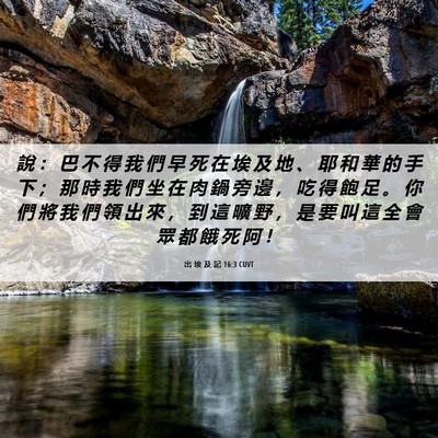 Picture 06 - 出 埃 及 記 16:3 CUVT - 說 ： 巴 不 得 我 們 早 死 在 埃 及 - Bible Verse Picture