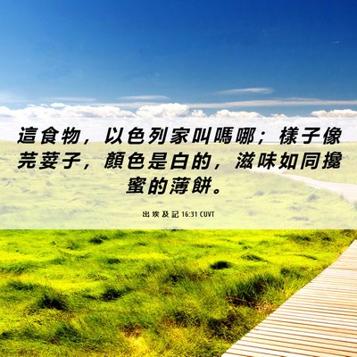 Picture 06 - 出 埃 及 記 16:31 CUVT - 這 食 物 ， 以 色 列 家 叫 嗎 哪 ； - Bible Verse Picture