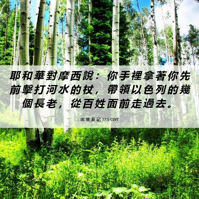 Picture 06 - 出 埃 及 記 17:5 CUVT - 耶 和 華 對 摩 西 說 ： 你 手 裡 拿 - Bible Verse Picture