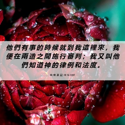 Picture 06 - 出 埃 及 記 18:16 CUVT - 他 們 有 事 的 時 候 就 到 我 這 裡 - Bible Verse Picture