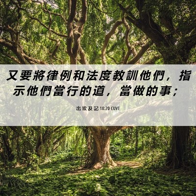 Picture 06 - 出 埃 及 記 18:20 CUVT - 又 要 將 律 例 和 法 度 教 訓 他 們 - Bible Verse Picture
