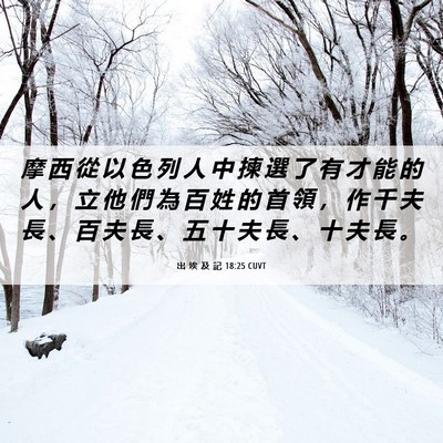 Picture 06 - 出 埃 及 記 18:25 CUVT - 摩 西 從 以 色 列 人 中 揀 選 了 有 - Bible Verse Picture