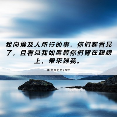 Picture 06 - 出 埃 及 記 19:4 CUVT - 我 向 埃 及 人 所 行 的 事 ， 你 們 - Bible Verse Picture