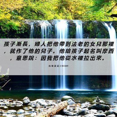 Picture 06 - 出 埃 及 記 2:10 CUVT - 孩 子 漸 長 ， 婦 人 把 他 帶 到 法 - Bible Verse Picture