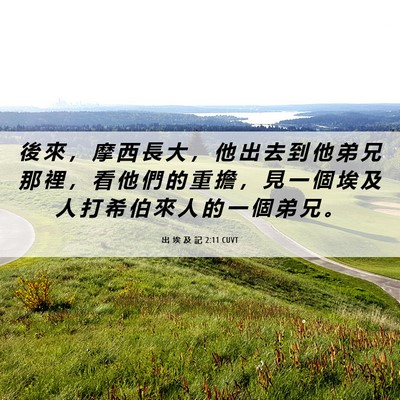 Picture 06 - 出 埃 及 記 2:11 CUVT - 後 來 ， 摩 西 長 大 ， 他 出 去 到 - Bible Verse Picture