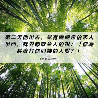 Picture 06 - 出 埃 及 記 2:13 CUVT - 第 二 天 他 出 去 ， 見 有 兩 個 希 - Bible Verse Picture