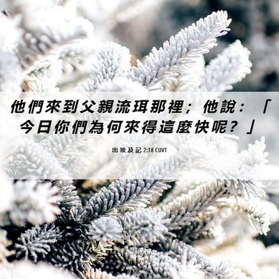 Picture 06 - 出 埃 及 記 2:18 CUVT - 他 們 來 到 父 親 流 珥 那 裡 ； 他 - Bible Verse Picture