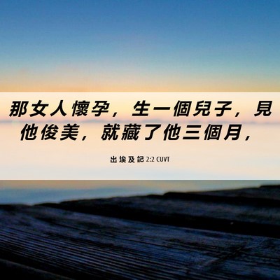 Picture 06 - 出 埃 及 記 2:2 CUVT - 那 女 人 懷 孕 ， 生 一 個 兒 子 ， - Bible Verse Picture