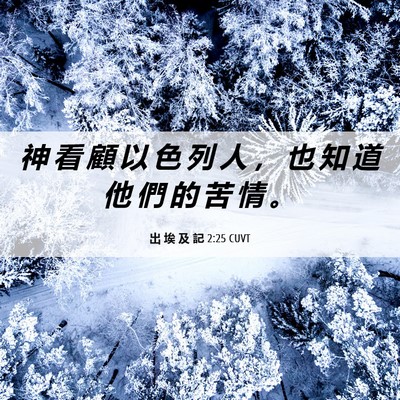Picture 06 - 出 埃 及 記 2:25 CUVT - 神 看 顧 以 色 列 人 ， 也 知 道 他 - Bible Verse Picture