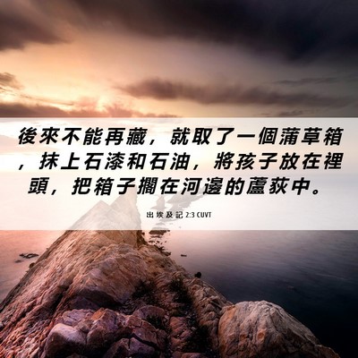 Picture 06 - 出 埃 及 記 2:3 CUVT - 後 來 不 能 再 藏 ， 就 取 了 一 個 - Bible Verse Picture