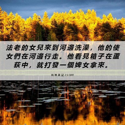 Picture 06 - 出 埃 及 記 2:5 CUVT - 法 老 的 女 兒 來 到 河 邊 洗 澡 ， - Bible Verse Picture