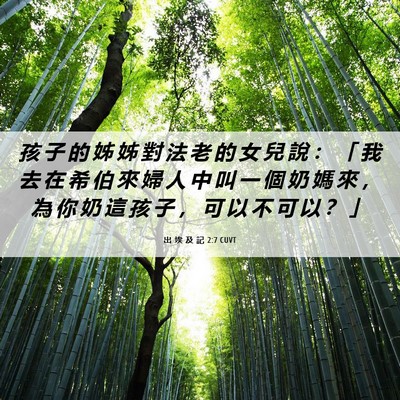 Picture 06 - 出 埃 及 記 2:7 CUVT - 孩 子 的 姊 姊 對 法 老 的 女 兒 說 - Bible Verse Picture