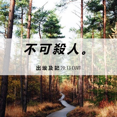 Picture 06 - 出 埃 及 記 20:13 CUVT - 不 可 殺 人 - Bible Verse Picture