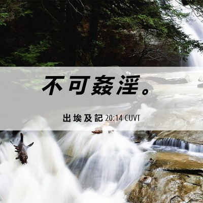 Picture 06 - 出 埃 及 記 20:14 CUVT - 不 可 姦 淫 - Bible Verse Picture