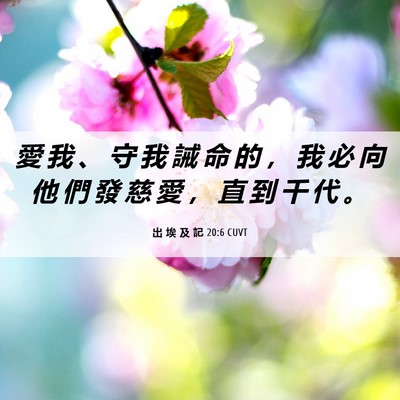 Picture 06 - 出 埃 及 記 20:6 CUVT - 愛 我 、 守 我 誡 命 的 ， 我 必 向 - Bible Verse Picture