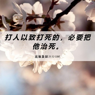 Picture 06 - 出 埃 及 記 21:12 CUVT - 打 人 以 致 打 死 的 ， 必 要 把 他 - Bible Verse Picture