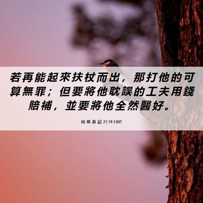 Picture 06 - 出 埃 及 記 21:19 CUVT - 若 再 能 起 來 扶 杖 而 出 ， 那 打 - Bible Verse Picture