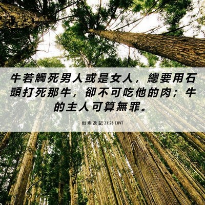 Picture 06 - 出 埃 及 記 21:28 CUVT - 牛 若 觸 死 男 人 或 是 女 人 ， 總 - Bible Verse Picture