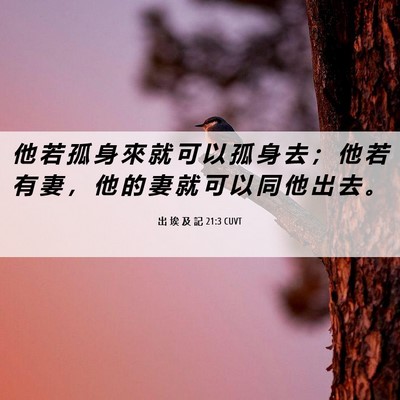 Picture 06 - 出 埃 及 記 21:3 CUVT - 他 若 孤 身 來 就 可 以 孤 身 去 ； - Bible Verse Picture