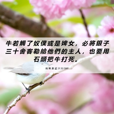 Picture 06 - 出 埃 及 記 21:32 CUVT - 牛 若 觸 了 奴 僕 或 是 婢 女 ， 必 - Bible Verse Picture