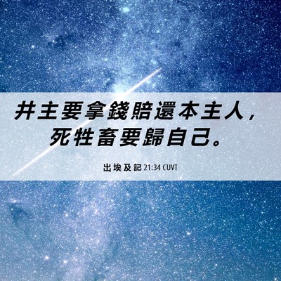 Picture 06 - 出 埃 及 記 21:34 CUVT - 井 主 要 拿 錢 賠 還 本 主 人 ， 死 - Bible Verse Picture