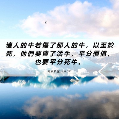Picture 06 - 出 埃 及 記 21:35 CUVT - 這 人 的 牛 若 傷 了 那 人 的 牛 ， - Bible Verse Picture