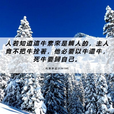 Picture 06 - 出 埃 及 記 21:36 CUVT - 人 若 知 道 這 牛 素 來 是 觸 人 的 - Bible Verse Picture