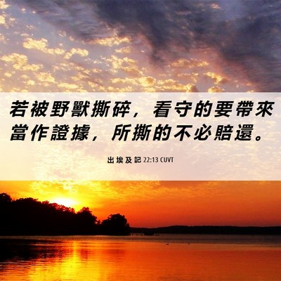 Picture 06 - 出 埃 及 記 22:13 CUVT - 若 被 野 獸 撕 碎 ， 看 守 的 要 帶 - Bible Verse Picture