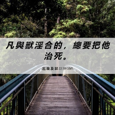 Picture 06 - 出 埃 及 記 22:19 CUVT - 凡 與 獸 淫 合 的 ， 總 要 把 他 治 - Bible Verse Picture