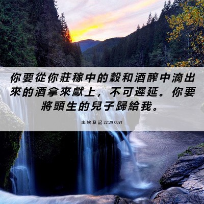 Picture 06 - 出 埃 及 記 22:29 CUVT - 你 要 從 你 莊 稼 中 的 穀 和 酒 醡 - Bible Verse Picture