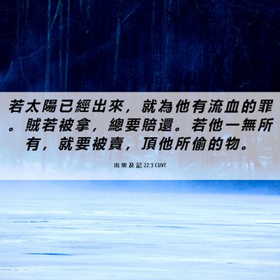 Picture 06 - 出 埃 及 記 22:3 CUVT - 若 太 陽 已 經 出 來 ， 就 為 他 有 - Bible Verse Picture