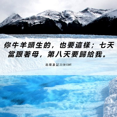 Picture 06 - 出 埃 及 記 22:30 CUVT - 你 牛 羊 頭 生 的 ， 也 要 這 樣 ； - Bible Verse Picture