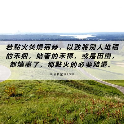 Picture 06 - 出 埃 及 記 22:6 CUVT - 若 點 火 焚 燒 荊 棘 ， 以 致 將 別 - Bible Verse Picture
