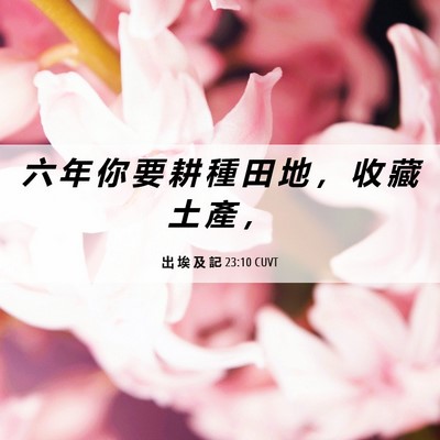 Picture 06 - 出 埃 及 記 23:10 CUVT - 六 年 你 要 耕 種 田 地 ， 收 藏 土 - Bible Verse Picture