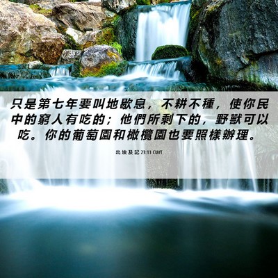 Picture 06 - 出 埃 及 記 23:11 CUVT - 只 是 第 七 年 要 叫 地 歇 息 ， 不 - Bible Verse Picture