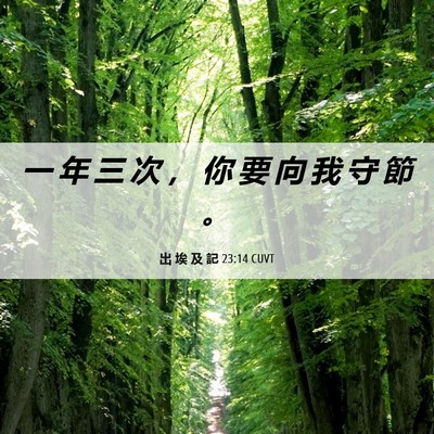 Picture 06 - 出 埃 及 記 23:14 CUVT - 一 年 三 次 ， 你 要 向 我 守 節 - Bible Verse Picture