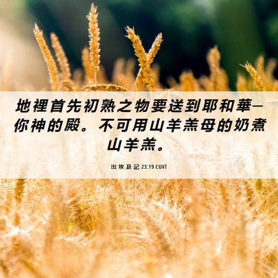 Picture 06 - 出 埃 及 記 23:19 CUVT - 地 裡 首 先 初 熟 之 物 要 送 到 耶 - Bible Verse Picture