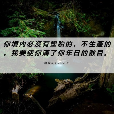 Picture 06 - 出 埃 及 記 23:26 CUVT - 你 境 內 必 沒 有 墜 胎 的 ， 不 生 - Bible Verse Picture