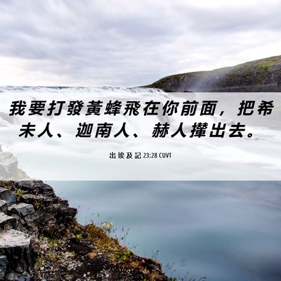 Picture 06 - 出 埃 及 記 23:28 CUVT - 我 要 打 發 黃 蜂 飛 在 你 前 面 ， - Bible Verse Picture