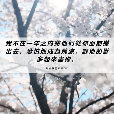 Picture 06 - 出 埃 及 記 23:29 CUVT - 我 不 在 一 年 之 內 將 他 們 從 你 - Bible Verse Picture