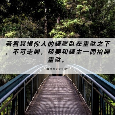 Picture 06 - 出 埃 及 記 23:5 CUVT - 若 看 見 恨 你 人 的 驢 壓 臥 在 重 - Bible Verse Picture