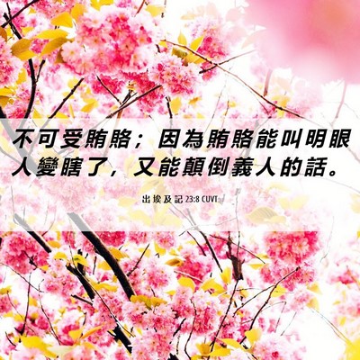 Picture 06 - 出 埃 及 記 23:8 CUVT - 不 可 受 賄 賂 ； 因 為 賄 賂 能 叫 - Bible Verse Picture