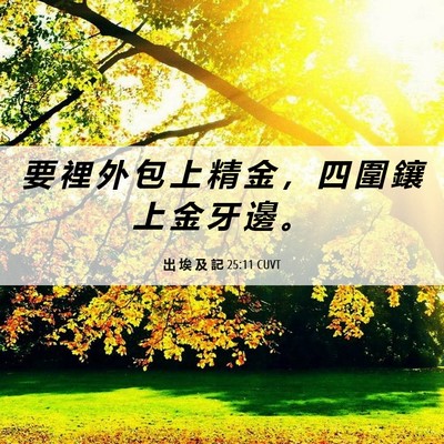 Picture 06 - 出 埃 及 記 25:11 CUVT - 要 裡 外 包 上 精 金 ， 四 圍 鑲 上 - Bible Verse Picture