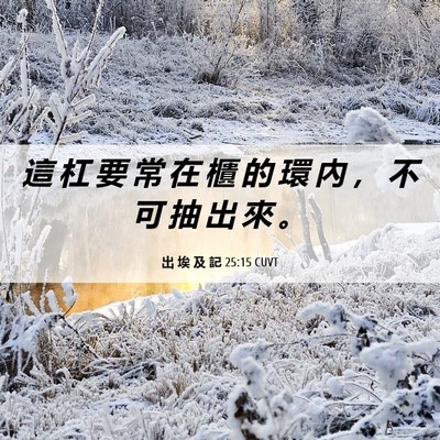 Picture 06 - 出 埃 及 記 25:15 CUVT - 這 杠 要 常 在 櫃 的 環 內 ， 不 可 - Bible Verse Picture