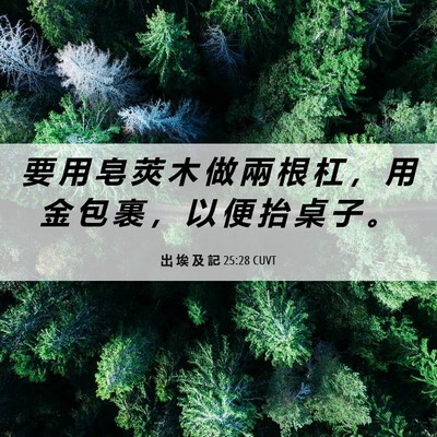 Picture 06 - 出 埃 及 記 25:28 CUVT - 要 用 皂 莢 木 做 兩 根 杠 ， 用 金 - Bible Verse Picture