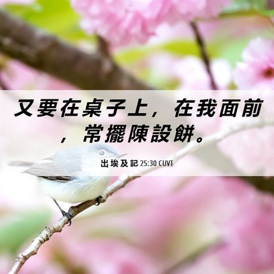 Picture 06 - 出 埃 及 記 25:30 CUVT - 又 要 在 桌 子 上 ， 在 我 面 前 ， - Bible Verse Picture