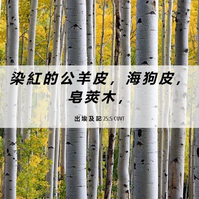Picture 06 - 出 埃 及 記 25:5 CUVT - 染 紅 的 公 羊 皮 ， 海 狗 皮 ， 皂 - Bible Verse Picture